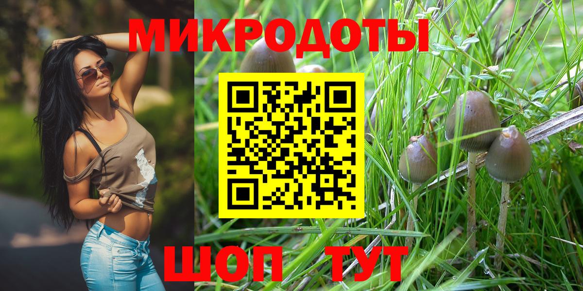 Галлюциногенные грибы Cubensis Новозыбков
